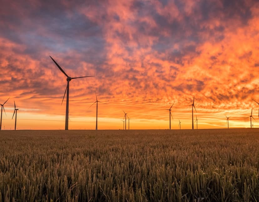 Wind turbines above a field in the evening